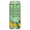 thumbnail image 3 of Yachak Organic Plant Based Energy, Ultimate Mint Yerba Mate Iced Tea Drink, 16 fl oz, 12 Pack Cans, 3 of 5