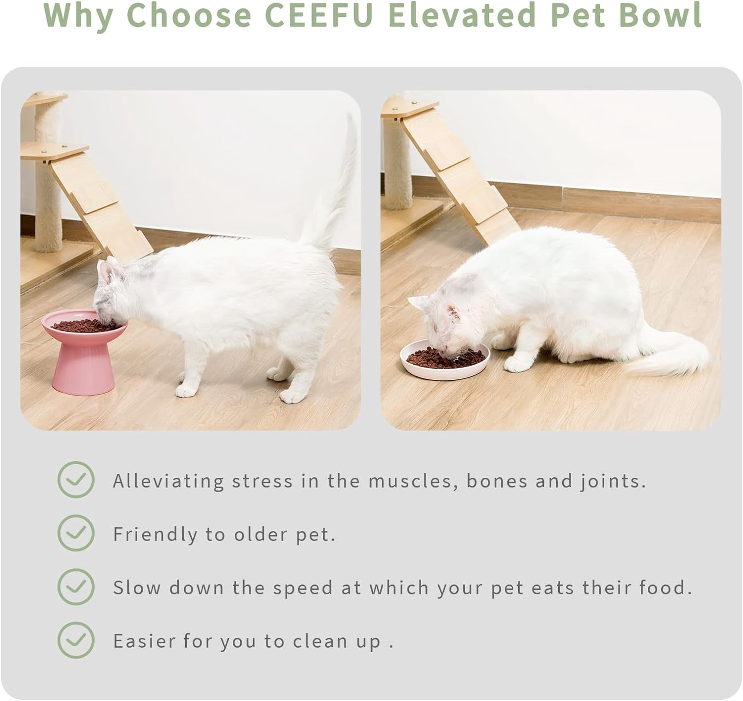 Extra Wide Elevated Ceramic Cat Bowl, 6.2" Shallow Dish for Whisker Fatigue Relief, 5" Height for Easy Feeding, Durable Raised Cat Food Bowls, Pack of 2, Pink