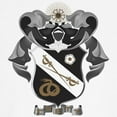 thumbnail image 3 of CafePress - Sigma Nu Coat Of Arms Baseball Jersey - Cotton Baseball Jersey, 3/4 Raglan Sleeve Shirt, 3 of 4
