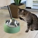 thumbnail image 3 of Alimentador para Animales de 3 Unidades, Plato Individual para Perros y Gatos verde y rosa y negro, 3 of 9