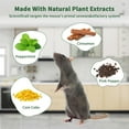 thumbnail image 2 of Rodent Repellent Pills for Indoor and Outdoor Use, Natural Peppermint Oil Mouse Repellent for Vehicle Engines, Closets, and Basements, Long-Lasting Pest Control, 10 Pieces, 2 of 7