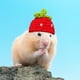 thumbnail image 4 of Gorro de punto para hámster, adorable gorro para mascota pequeña, con correa ajustable, diseño de ranas, conejos y zanahorias, plegable y portátil, de lana suave, ideal para hámsteres y, 4 of 9