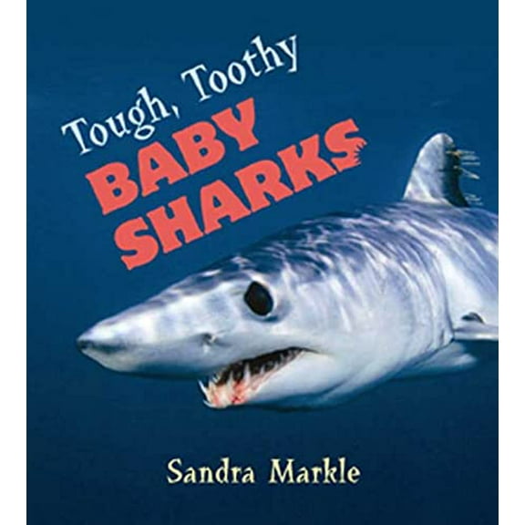 Pre-Owned Tough, Toothy Baby Sharks Paperback