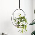 thumbnail image 4 of 2PCS Boho Hanging Holder - Indoor Outdoor Ceiling Planter with Wood Base & Metal Frame, Wall/Window Mounted Display Shelf for Living Room, Balcony, Patio & Home Decor, 4 of 7