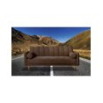 thumbnail image 1 of Sofá Cama de Velvet Chocolate con Tecnología Beehive Airflex Foam Modelo Draco, 1 of 8