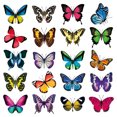 thumbnail image 3 of Ventana de Mariposa de 40 Piezas Que Se Adhiere a Las Calcomanías de Las Ventanas Del Baño Sunnimix Clips de ventana, 3 of 8