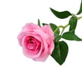 thumbnail image 2 of Budget Friendly Single Rose Artificial Flower For Weddings And Parties, 2 of 9