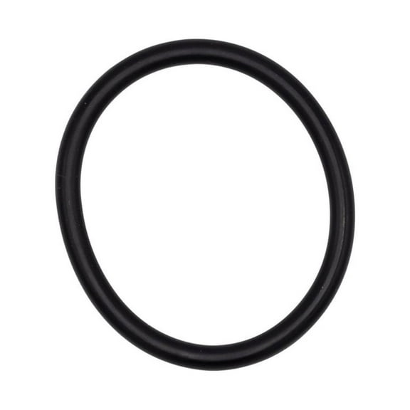Johnson Pump 50512PK Motor Cartridge Housing O-Ring
