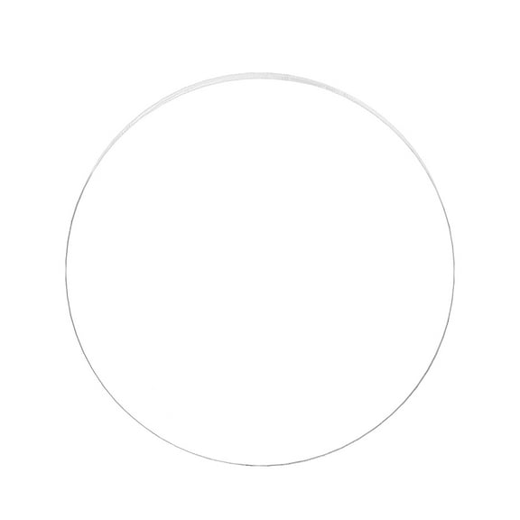 Acrylic Transparent Pressure Plate Flat Round Clear 279x3mm 1 pc