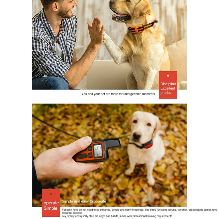 Pet trainer shock collar not shocking cheap