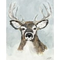 thumbnail image 2 of DeRice, Julie 20x24 White Modern Wood Framed Museum Art Print Titled - White Tailed Deer On White, 2 of 4