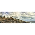thumbnail image 3 of Head, Danny 14x7 Black Modern Framed Museum Art Print Titled - Pemaquid Light Panorama, 3 of 5
