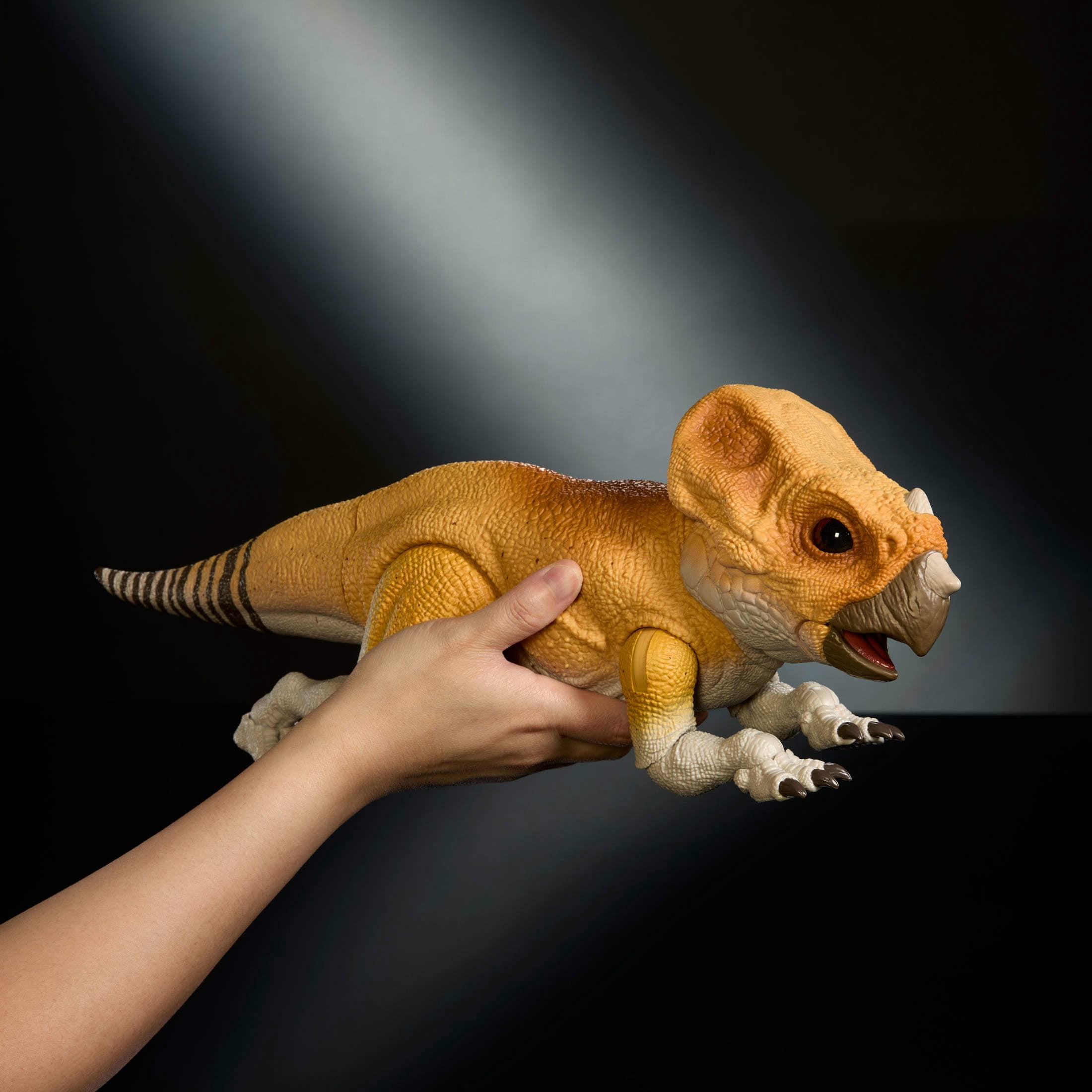 Jurassic World Hammond Collection Screen Scale Aquilops Dolores Dinosaur Figure, Real Feel & Glass Eyes