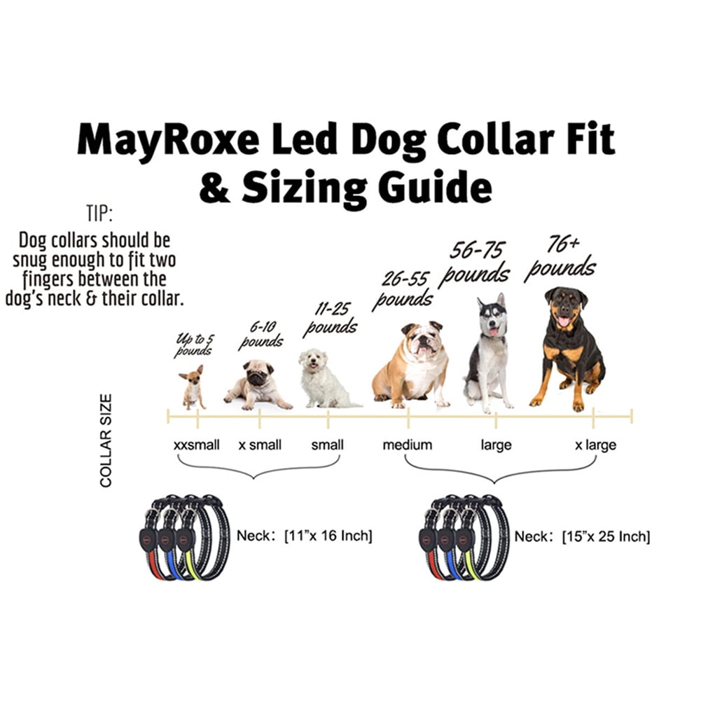 Kadyn LED Light Up Dog Collar, Dog Collar, Glowing Night Walking Light Dog Collar for Pet Night Walking – Rechargeable Dog Necklace– Weatherproof Puppy Collar, L Red Kadyn LED Light Up Dog Collar, Dog Collar, Glowing Night Walking Light Dog Collar for Pet Night Walking – Rechargeable Dog Necklace– Weatherproof Puppy Collar, L Red