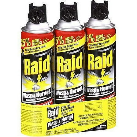 Raid Wasp and Hornet Killer Spray - Outdoor Insecticide - 3 Pack, 17.5 oz