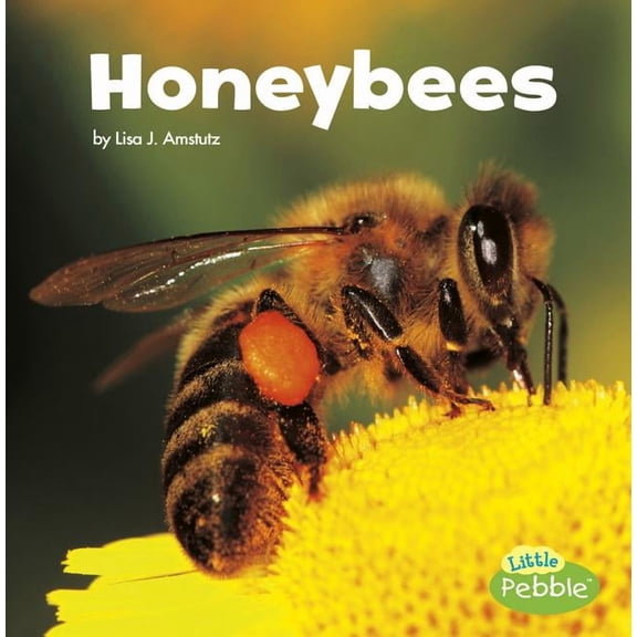Little Critters: Honeybees (Hardcover)