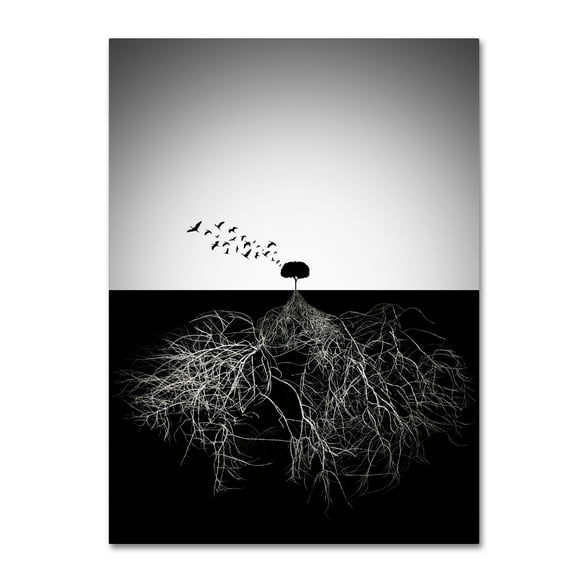 Trademark Fine Art 'Do Not Judge According To Appearance II' Canvas Art by Sourig Arslanian