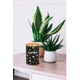 thumbnail image 4 of FASHIONCRAFT 88087 Canister Stash Jar, Good Vibes Novelty Stash Jar, Black, 4 of 5