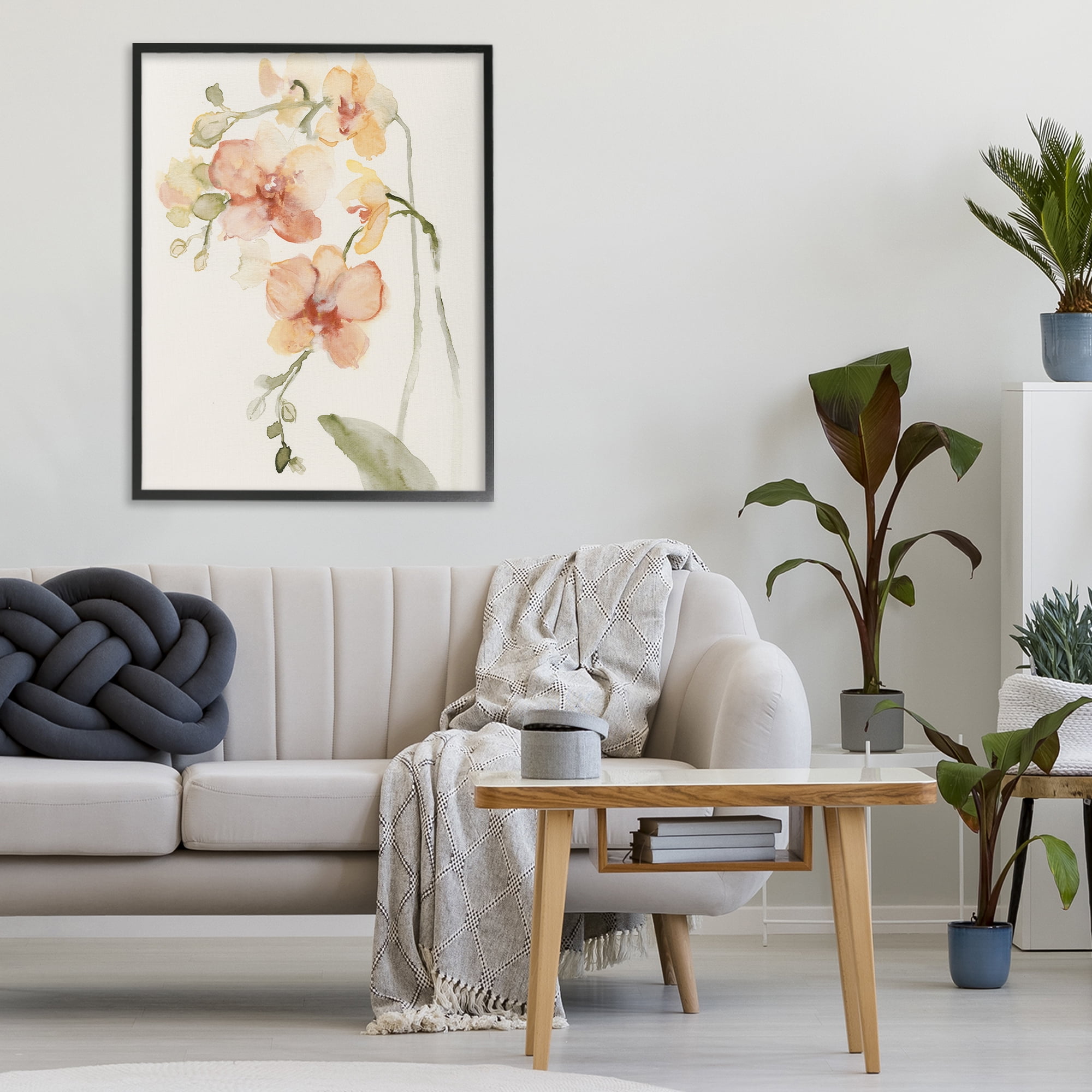 Stupell Industries Peach Orchid in Bloom Black Framed Giclee Art, design by Victoria Barnes