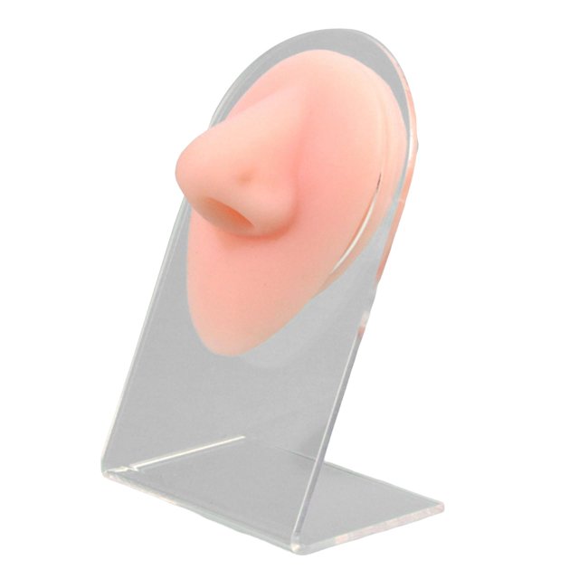 Silicona de Exhibición de Modelo con Simulación de Estante Transparente para Enseñanza de Joyería Yuyangstore Exhibición de joyas para la nariz