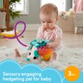 thumbnail image 2 of Fisher-Price Cuddle ‘n Snuggle Hedgehog Plush Infant Sensory Toy with Rattle & Crinkle Sounds, 2 of 6