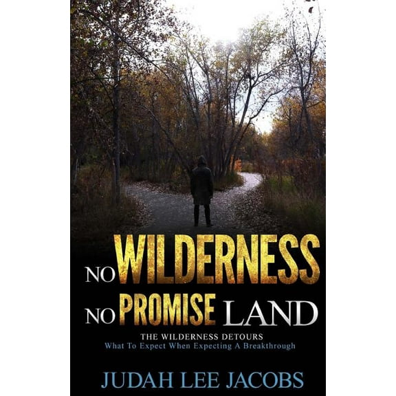 The Wilderness Detours (Paperback)