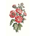thumbnail image 2 of Unknown  13x18 Black Ornate Wood Framed with Double Matting Museum Art Print Titled - Flowering Hibiscus IV, 2 of 4