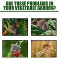 thumbnail image 4 of Keep Mice Out For Home Kitchen Farms Storehouse, Peppermint Oil For Mice And Vole Mouse Squirrel, 4 of 5