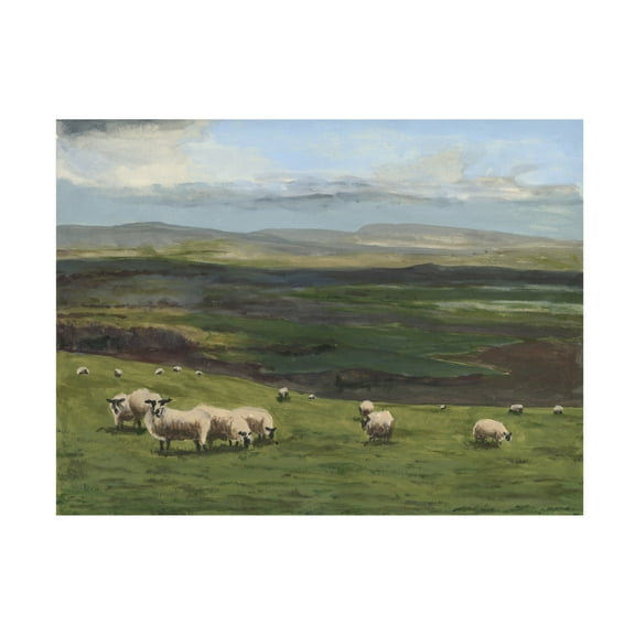 Trademark Fine Art Michael Willett  Highland Sheep I Canvas Wall Art