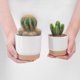 thumbnail image 2 of Macetas dobles para suculentas yuxing creativas verdes para decoración de mesa y jardín L, 2 of 5