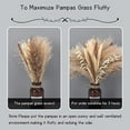 thumbnail image 3 of Nvzi -b 65 Pcs Pampas Grass,17"/43cm Natural Dried Pampas Grass Decor Tall,Boho Decor Pompous Grass,Fluffy Pampas Grass Plants for Flower Arrangements Home, Office, Wedding and Living Room, 3 of 4