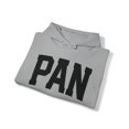 thumbnail image 4 of Pansexual Pan Pride 70s Retro LGBT LGBTQ Hoodie, Gifts, Hooded Sweatshirt, 4 of 4