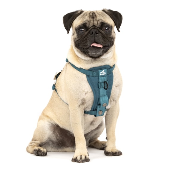 Kurgo Tru-Fit Crash Tested Safety Harness - Ink Blue, Small, Adjustable Pet Vehicle Harness