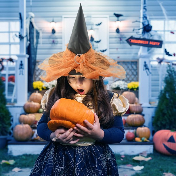 ILOVEFANCYDRESS Juego DE Disfraz Adultos Blues Brother - Sombrero Trilby Negro, Gafas DE Sol, Quemaduras, Lazo Negro Y Pulseras (58 CM Hat