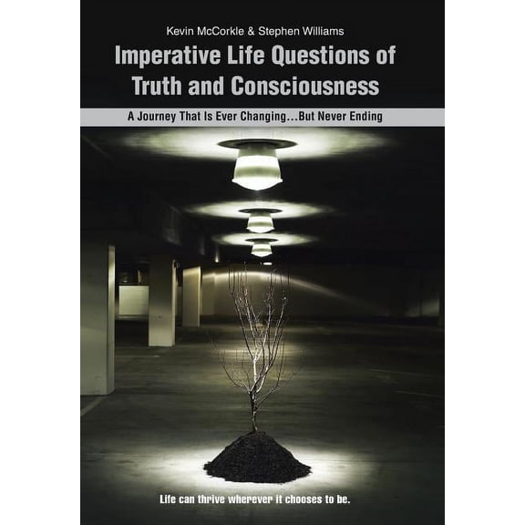 Imperative Life Questions of Truth and Consciousness: A Journey That Is Ever Changing...But Never Ending, (Hardcover)