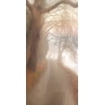 thumbnail image 2 of Allen, Kimberly 9x14 Gold Ornate Wood Framed with Double Matting Museum Art Print Titled - Into the Mist, 2 of 4