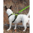 thumbnail image 3 of LAICAIW Double-Sided Reflective Dog Leash, 6 FT/5 FT/4 FT, Padded Handle Nylon Dogs Leashes for Medium & Large Dogs Walking, Green, 6FT, 3 of 6