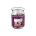 thumbnail image 1 of MAINSTAYS PURPLE SANDS 19OZ SCENTED JAR, 1 of 1