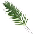 thumbnail image 1 of OUNONA 3Ud Hojas Simuladas Para Decorar Y Ambiente En Fiestas O Eventos, 1 of 6
