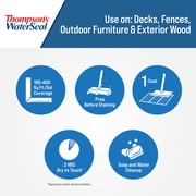 Thompson's WaterSeal Transparent Exterior Wood Sealer, Chestnut Brown, 1 gal