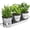Galvanized, variant on Indoor Herb Garden Planter Set with Tray, Metal Windowsill Plant Pots with Drainage for Outdoor or Indoor Plants, Set/3 (White)