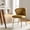 GOLDEN, variant on Modern Velvet Accent Chair Upholstered Small Vanity Chair Bedroom Living Room Pink