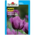 thumbnail image 1 of Burpee Hungarian Blue Poppy, Plant Seeds for Home Garden, 1 of 4