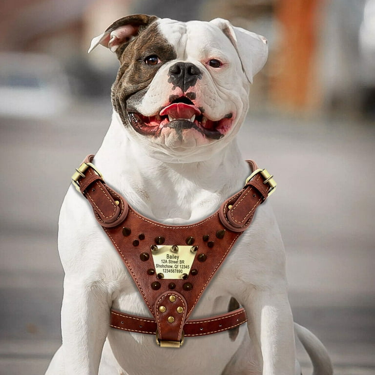 Cute Puppy Harness Pitbull Spiked Dog Harness With Control Handle