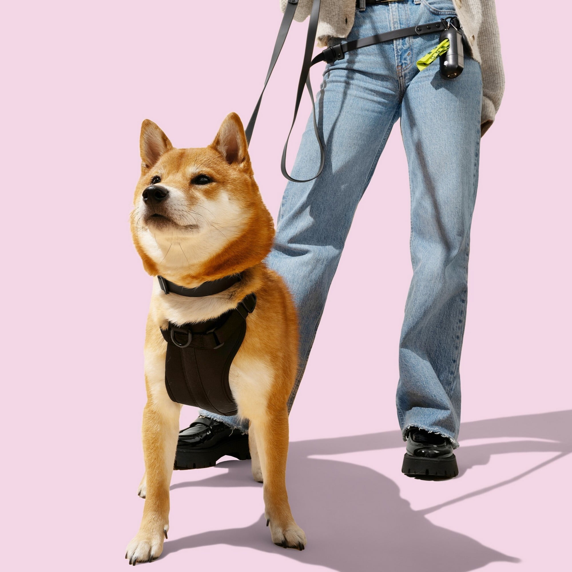 THE LICKER STORE Arlo Extra Small Adjustable Soft Padded No Pull Pet Harness with 3 Buckles and 3 Leash Clips, Black, HNS1000I