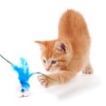 thumbnail image 5 of Cat Toy Colorful Pompom Fake Feather Bell Decor Cat Training Toy Pet Sound Toy, 5 of 5