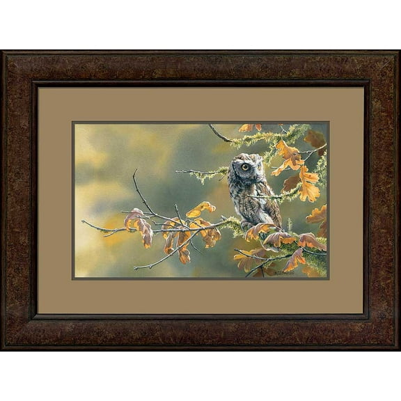 Autumn OakScreech Owl