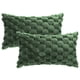 thumbnail image 2 of REGALWOVEN Paquete de 2 Fundas de Cojín Decorativas de Piel Sintética, Fundas de Cojín Esponjosas y Suaves, Verdes 12" x 20", 2 of 6