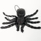 thumbnail image 5 of Bewildely Adornos de Halloween murciélago araña ratón modelo diseño de escena adorno casa embrujada decoración Horror decoración Festival Kits de decoración para fiestas Araña Bewildely HA069402-02, 5 of 6