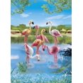 thumbnail image 4 of Rebaño de Flamingos Playmobil, 4 of 5